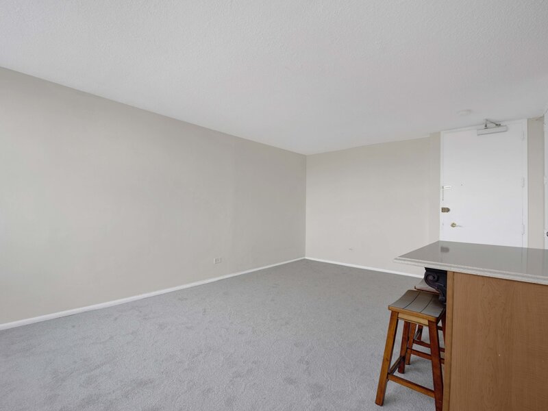 3110 N Sheridan Road Chicago IL 60657
