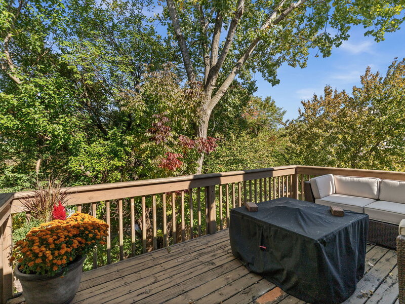8206 Sierra Woods Court Carpentersville IL 60110