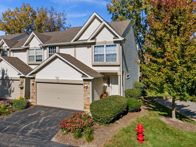 8206 Sierra Woods Court Carpentersville IL 60110