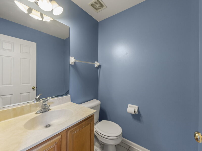 253 Carlton Mews Court Sugar Grove IL 60554