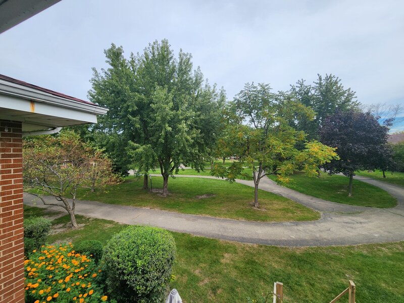 1107 E Algonquin Road Arlington Heights IL 60005