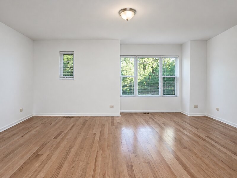 6732 S Dorchester Avenue Chicago IL 60637
