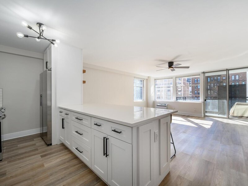 30 E Elm Street Chicago IL 60611