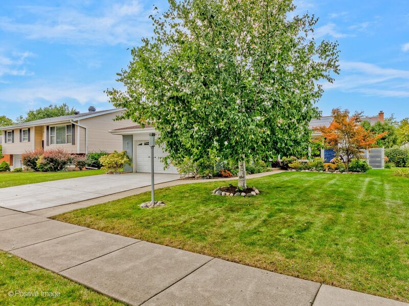 760 Madelyn Drive Des Plaines IL 60016