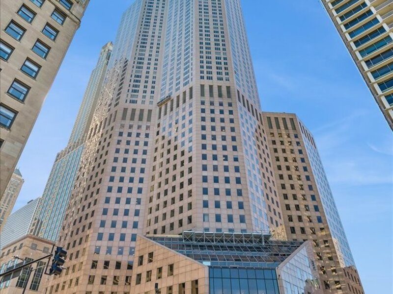 950 N Michigan Avenue Chicago IL 60611