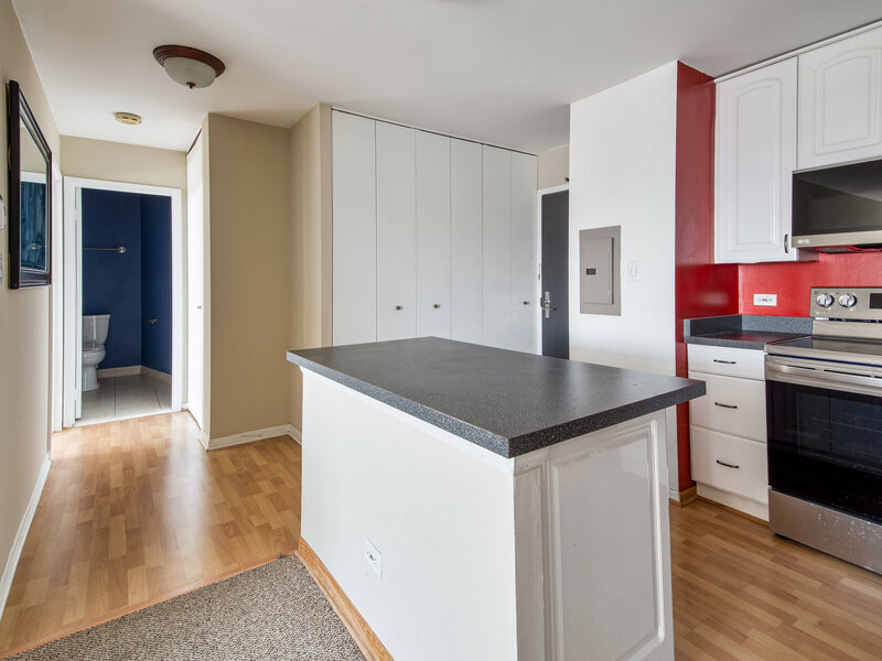3930 N Pine Grove Avenue Chicago IL 60613
