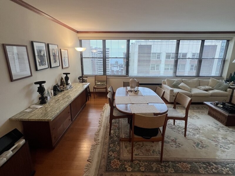 850 N Dewitt Place Chicago IL 60611