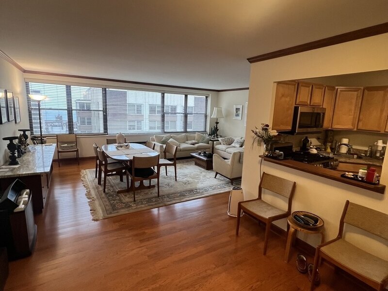 850 N Dewitt Place Chicago IL 60611