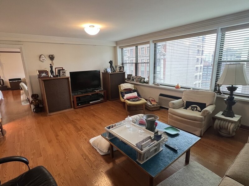 850 N Dewitt Place Chicago IL 60611