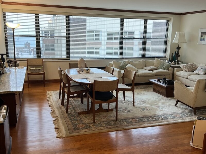 850 N Dewitt Place Chicago IL 60611