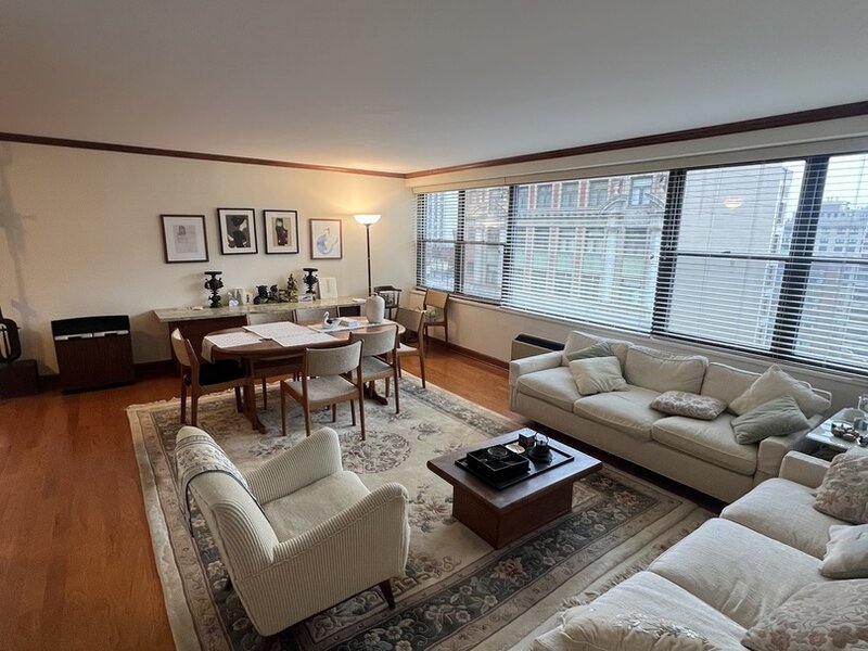 850 N Dewitt Place Chicago IL 60611