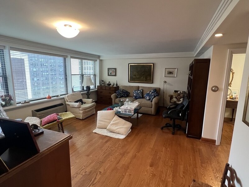 850 N Dewitt Place Chicago IL 60611