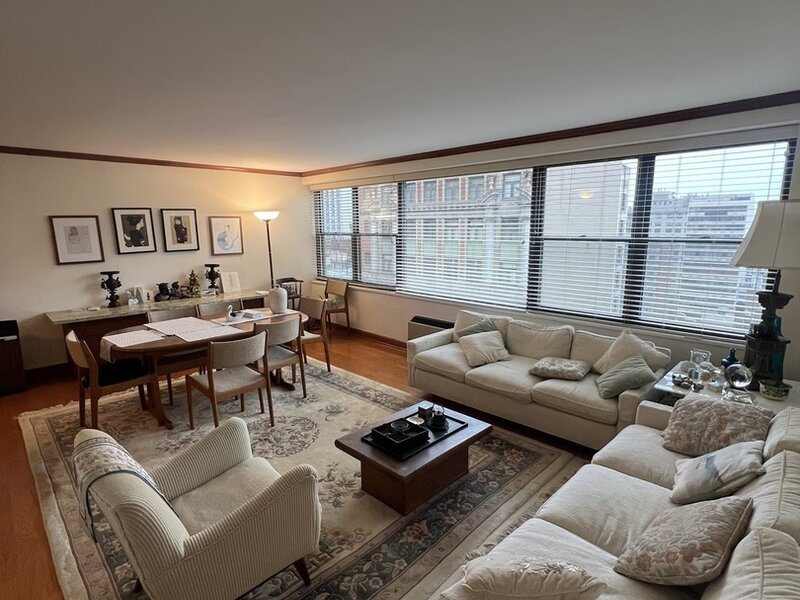 850 N Dewitt Place Chicago IL 60611