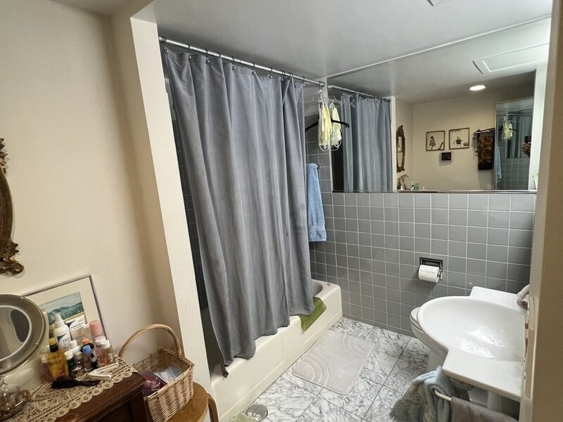 850 N Dewitt Place Chicago IL 60611