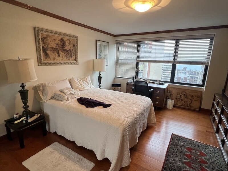 850 N Dewitt Place Chicago IL 60611