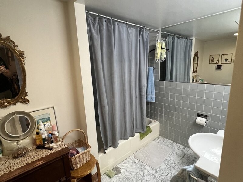 850 N Dewitt Place Chicago IL 60611