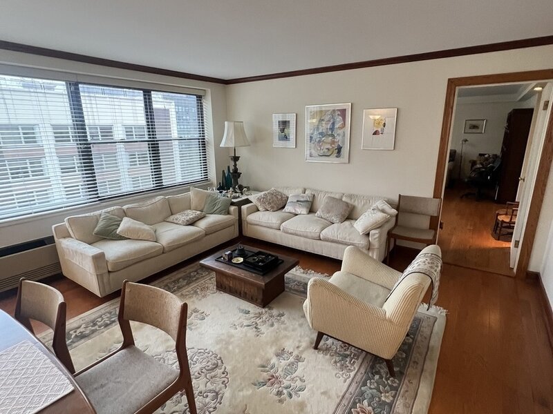 850 N Dewitt Place Chicago IL 60611