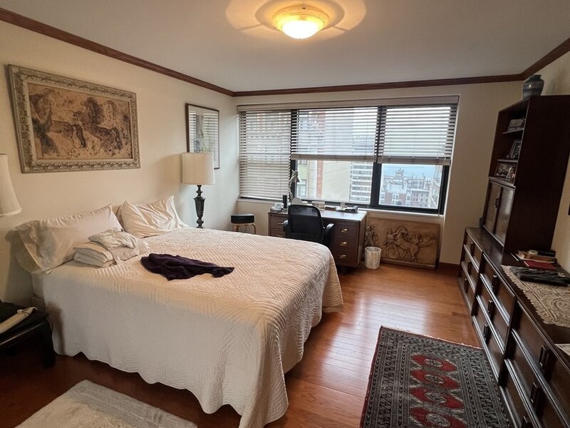 850 N Dewitt Place Chicago IL 60611
