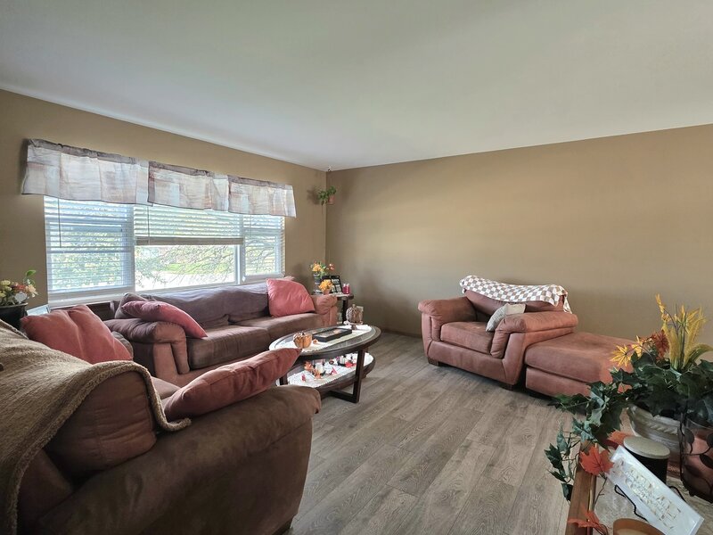25742 S Mccorkle Avenue Monee IL 60449