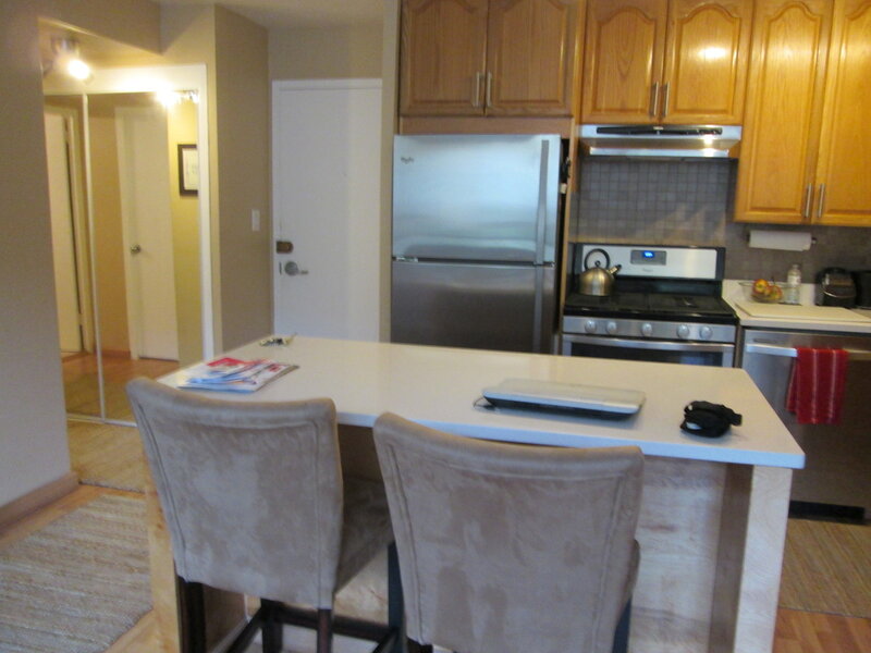 3950 N Lake Shore Drive Chicago IL 60613
