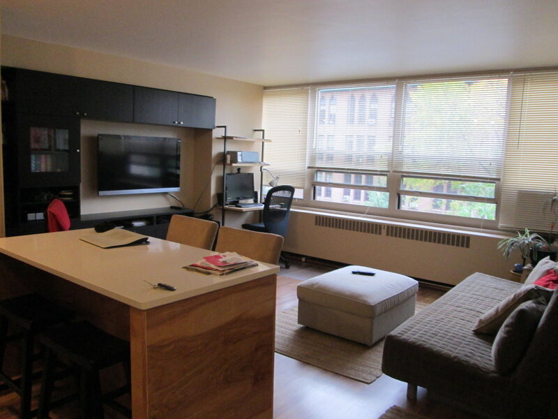 3950 N Lake Shore Drive Chicago IL 60613