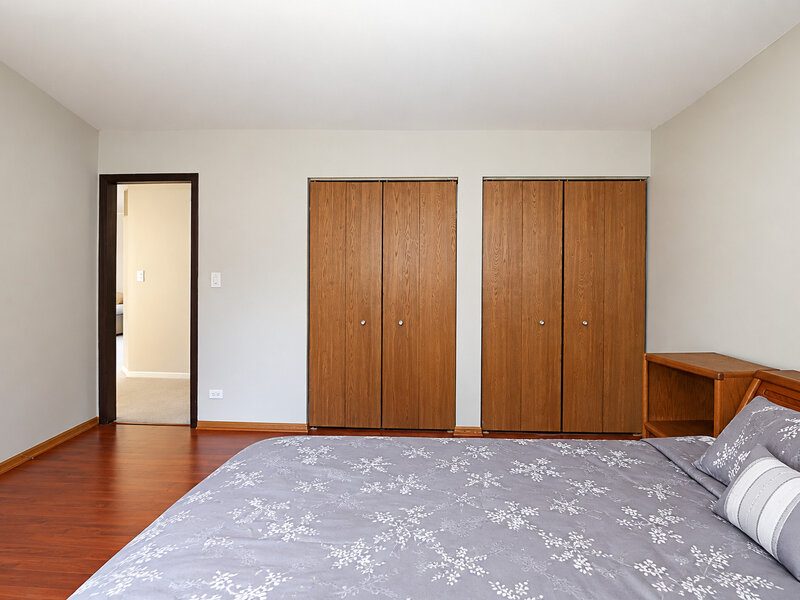 3 Dorchester Court Streamwood IL 60107