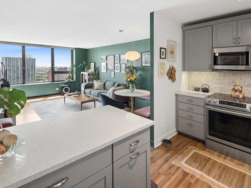 3930 N Pine Grove Avenue Chicago IL 60613