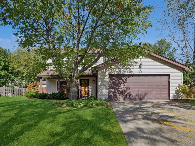 612 Armstrong Court Buffalo Grove IL 60089