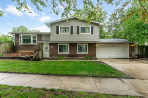 Photo of 358 Lyons Drive Bolingbrook IL 60440