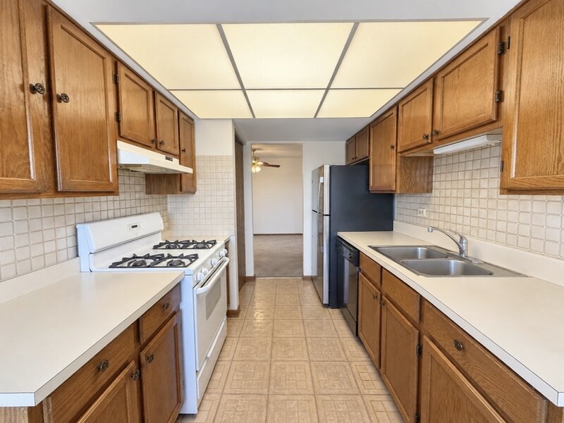 4009 W 93rd Place Oak Lawn IL 60453