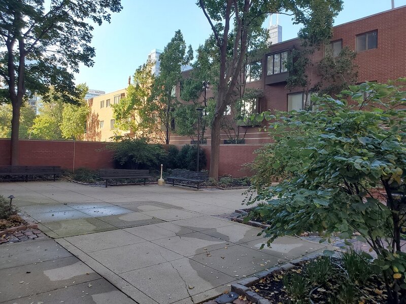 899 S Plymouth Court Chicago IL 60605