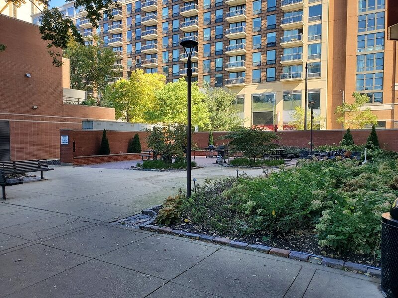 899 S Plymouth Court Chicago IL 60605