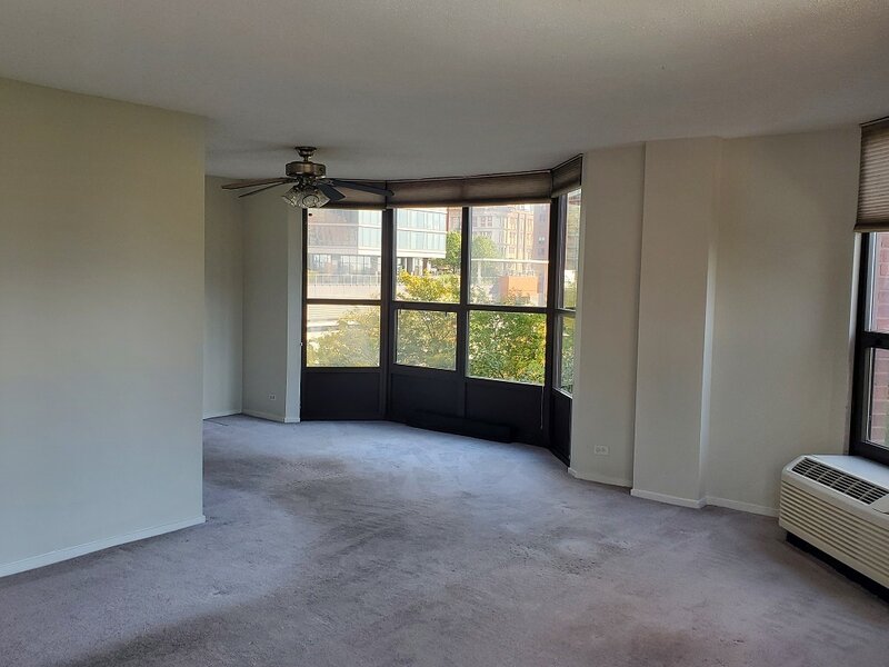 899 S Plymouth Court Chicago IL 60605