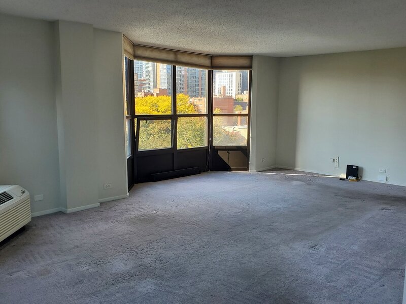 899 S Plymouth Court Chicago IL 60605