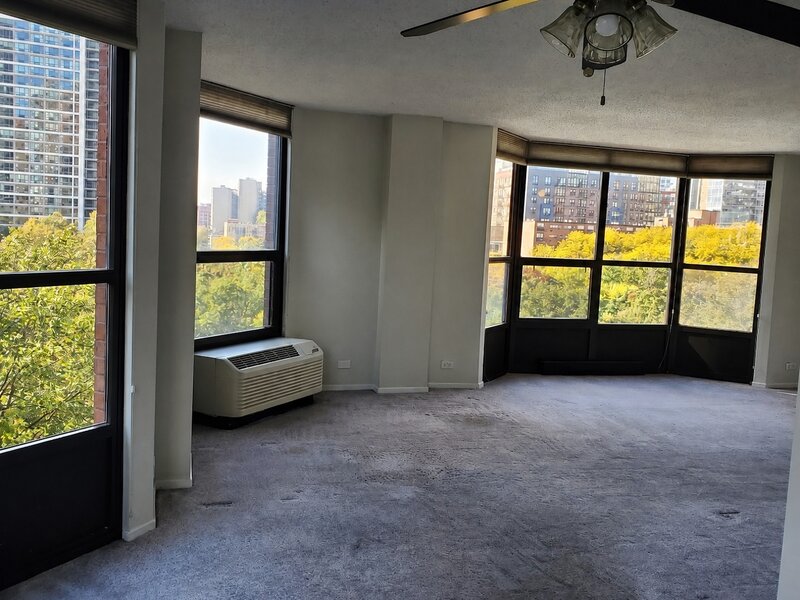 899 S Plymouth Court Chicago IL 60605