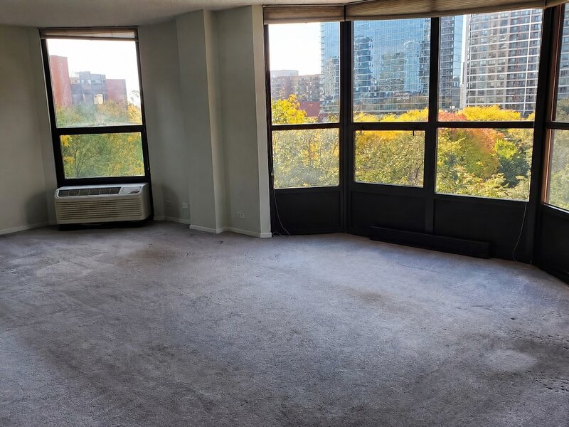 899 S Plymouth Court Chicago IL 60605