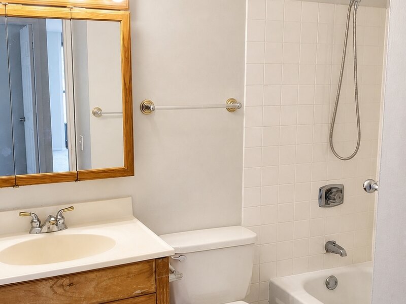 899 S Plymouth Court Chicago IL 60605