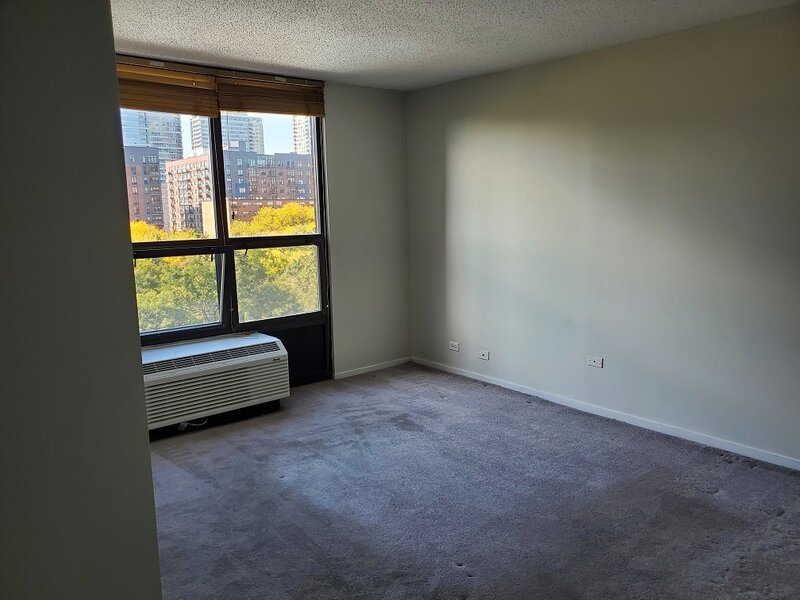 899 S Plymouth Court Chicago IL 60605