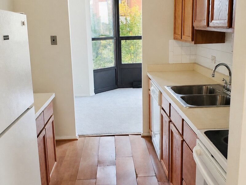 899 S Plymouth Court Chicago IL 60605