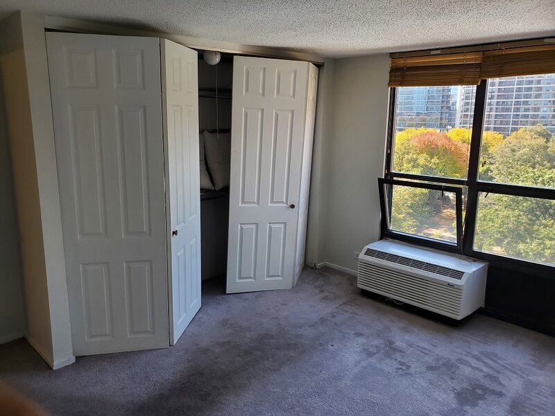 899 S Plymouth Court Chicago IL 60605