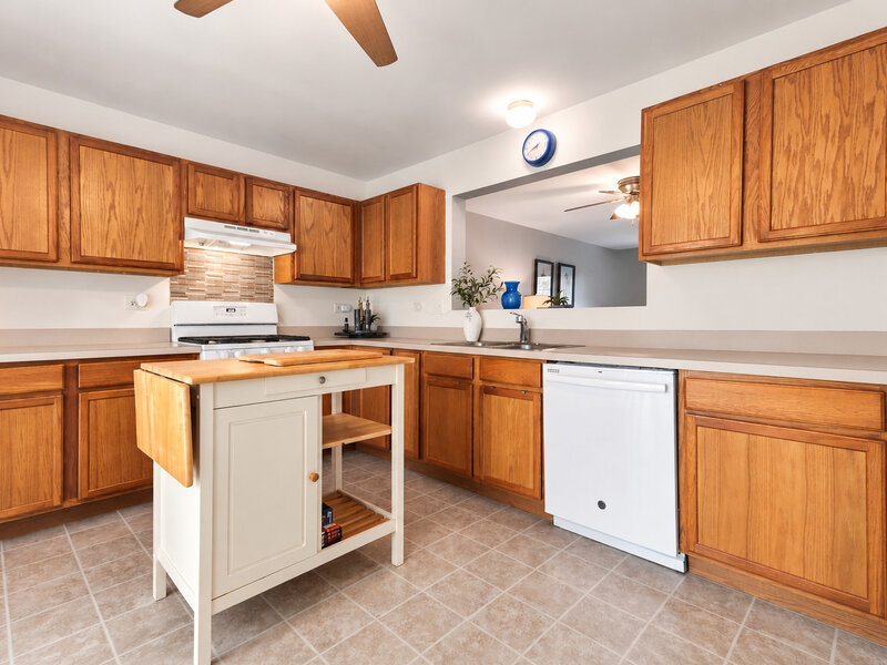 3463 Silver Leaf Drive Joliet IL 60431