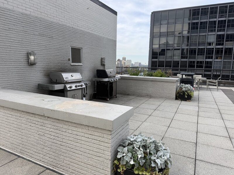 253 E Delaware Place Chicago IL 60611