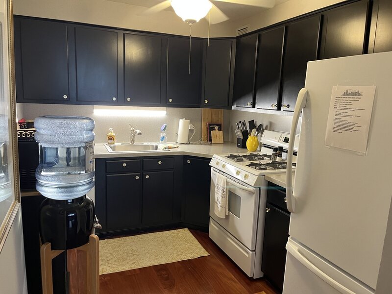 253 E Delaware Place Chicago IL 60611