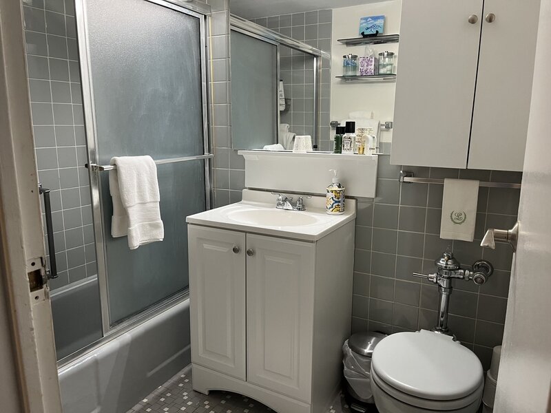 253 E Delaware Place Chicago IL 60611