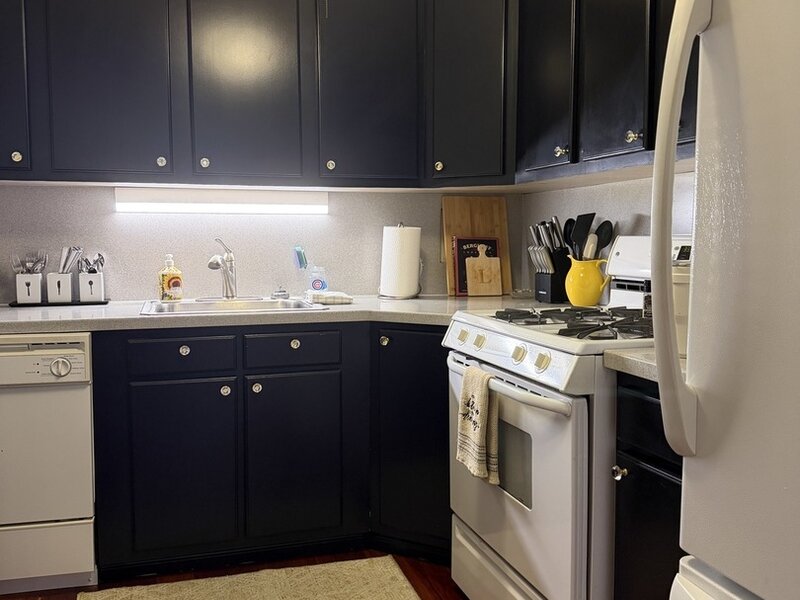253 E Delaware Place Chicago IL 60611