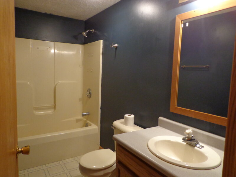 1595 Belleview Avenue Rockdale IL 60436