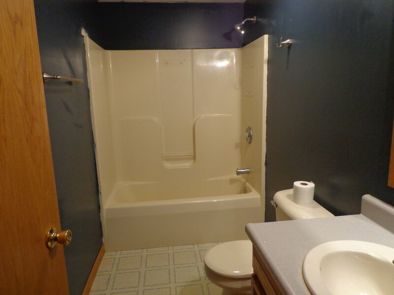 1595 Belleview Avenue Rockdale IL 60436