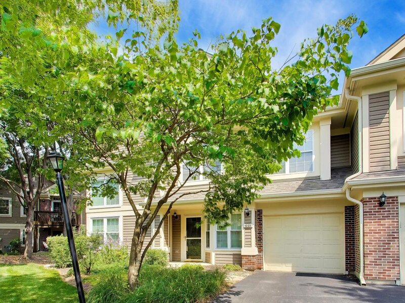 1223 Old Mill Lane Elk Grove Village IL 60007