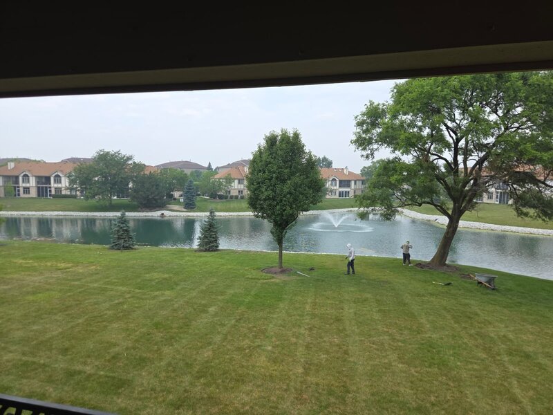 6506 Pine Trail Lane Tinley Park IL 60477