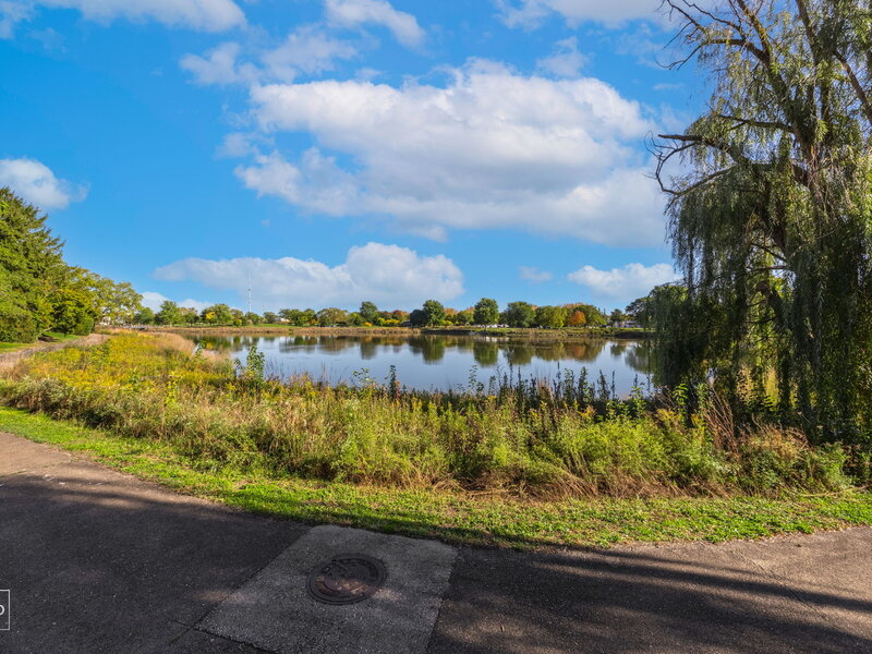 293 Shadybrook Lane Aurora IL 60504